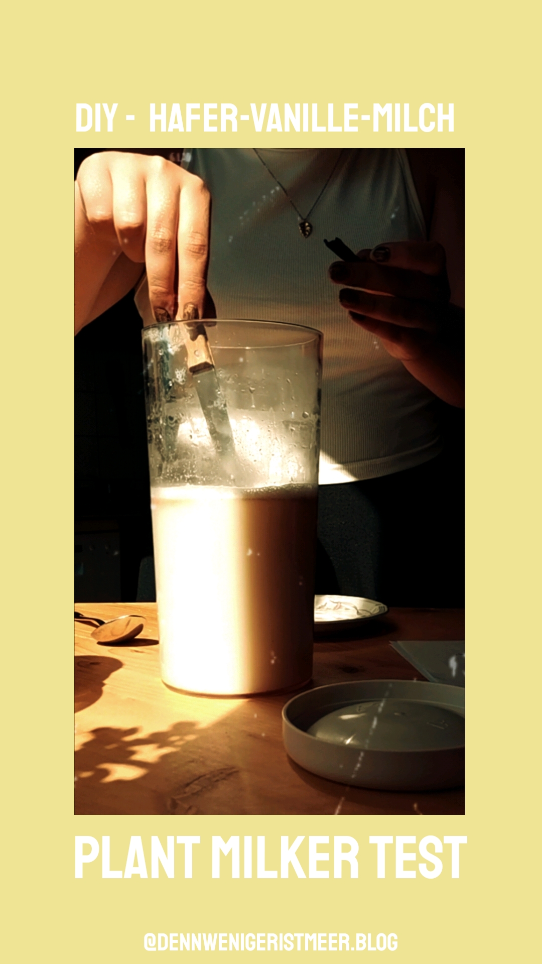 DIY Hafer-Vanille-Milch